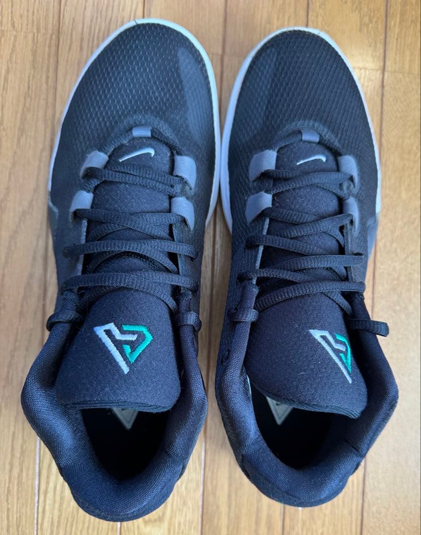 NIKE ZOOM FREAK 1 ナイキ ズームフリーク 28.5cm