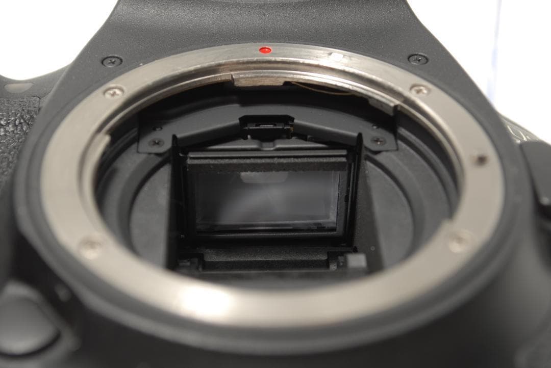 ☘️優良品✨スマホ転送☘️Canon EOS 7D Mark Ⅱ ダブル