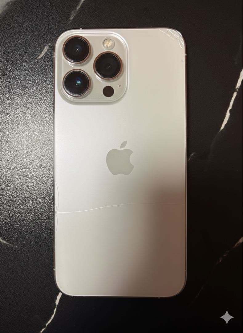 【付属品あり】Apple iPhone 13 Pro シルバー 本体