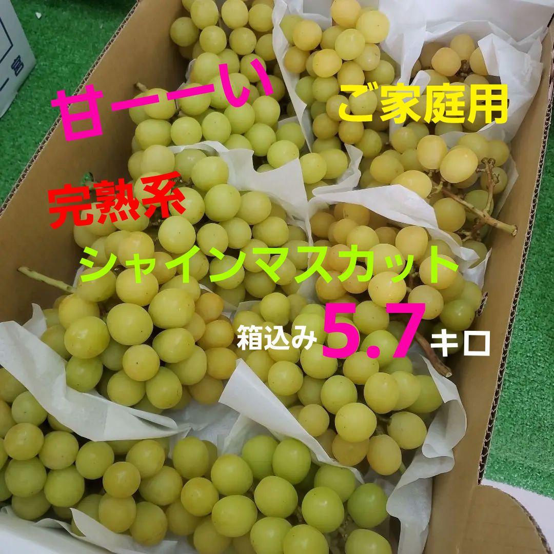 6️⃣ 山梨県産 シャインマスカット １１房入り 箱込み5.7キロ