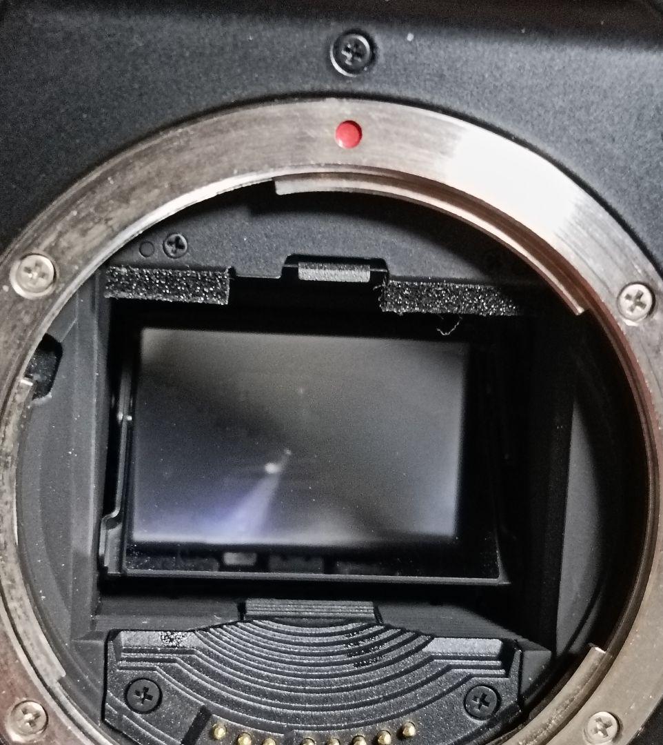 Canon EOS-1 N、ジャンク品通電せず！