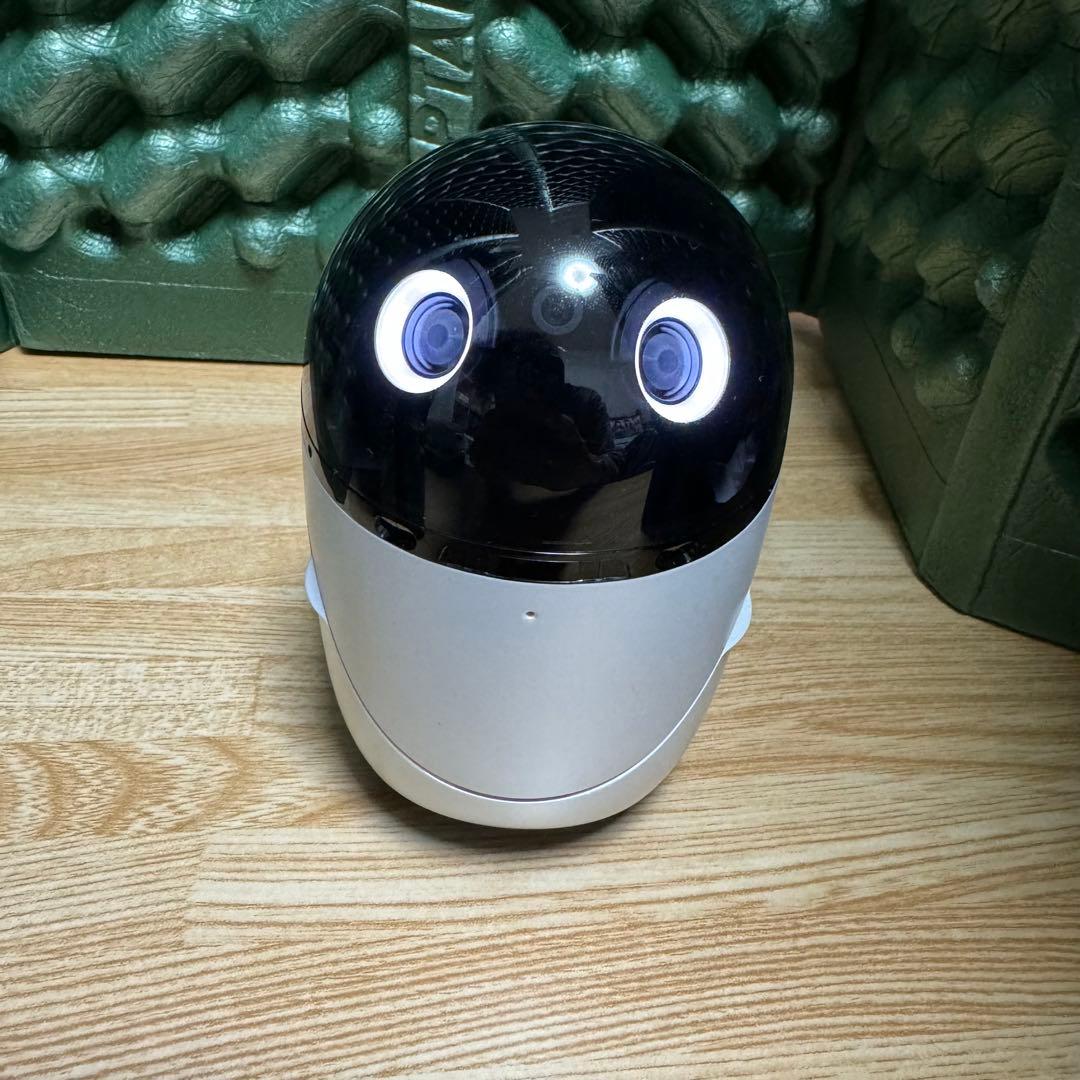 poiq SONY ロボット