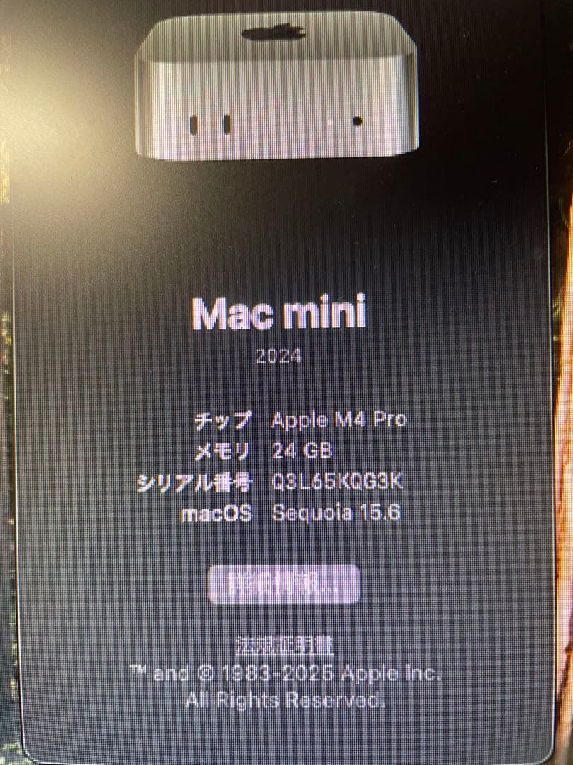 美品　MacminiM4 Pro 24GB 512GB