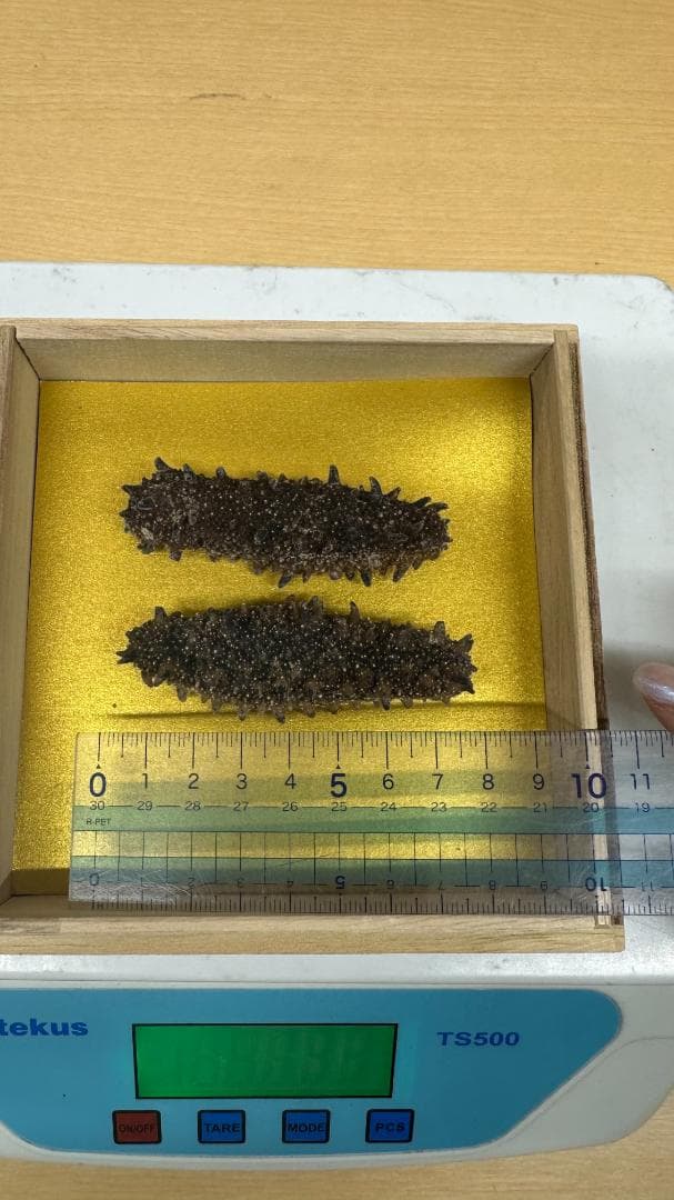 （まりちゃん様）乾燥ナマコ