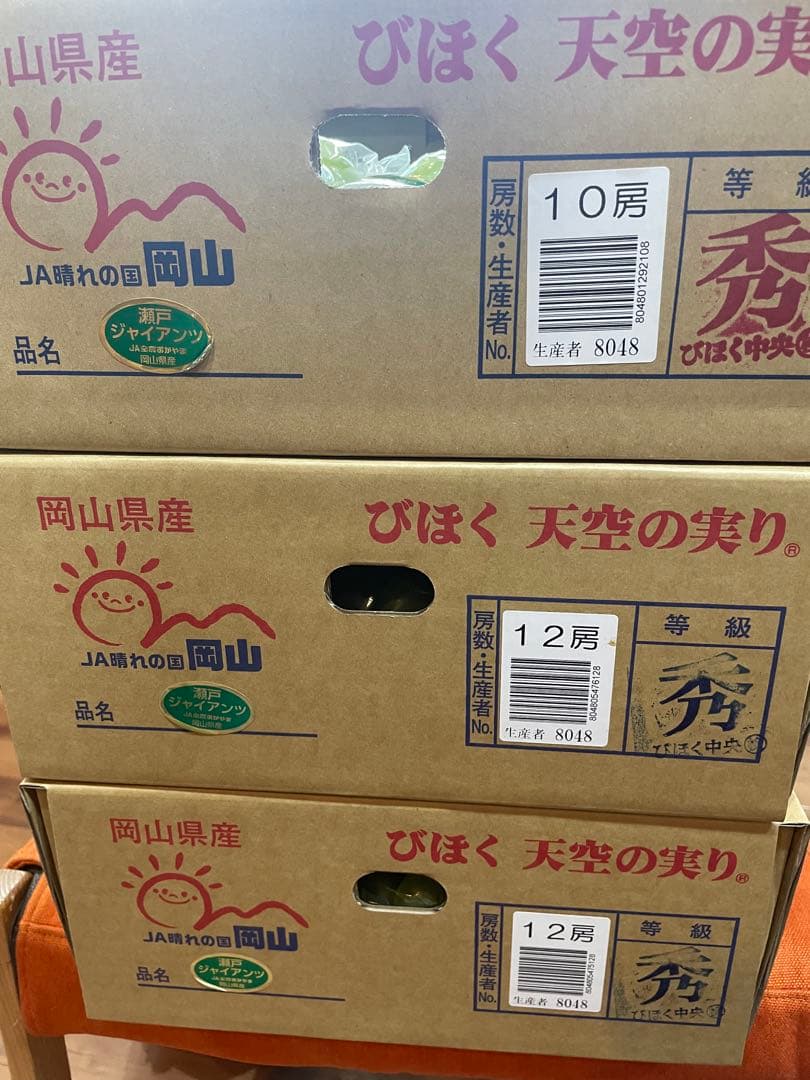 ⑥【岡山県産】瀬戸ジャイアンツ　7〜12房　約5キロ