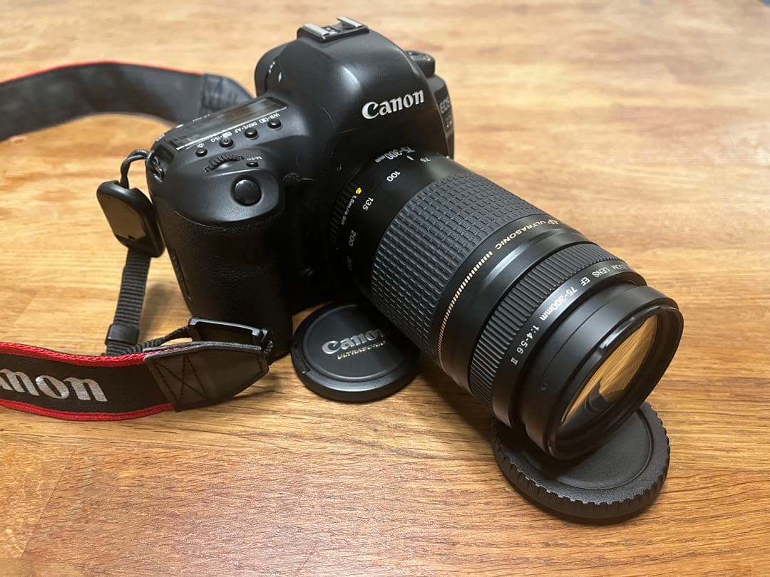 Canon EOS 5D Mark 4 + EF 75-300mm USMレンズ