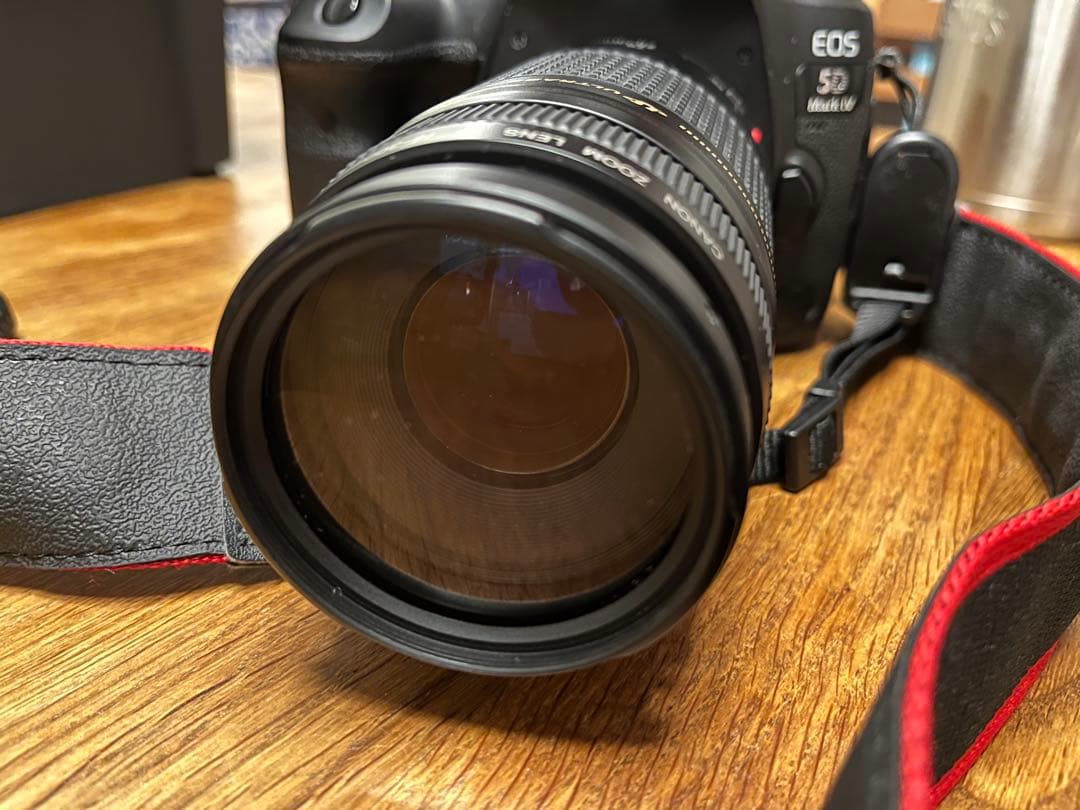 Canon EOS 5D Mark 4 + EF 75-300mm USMレンズ