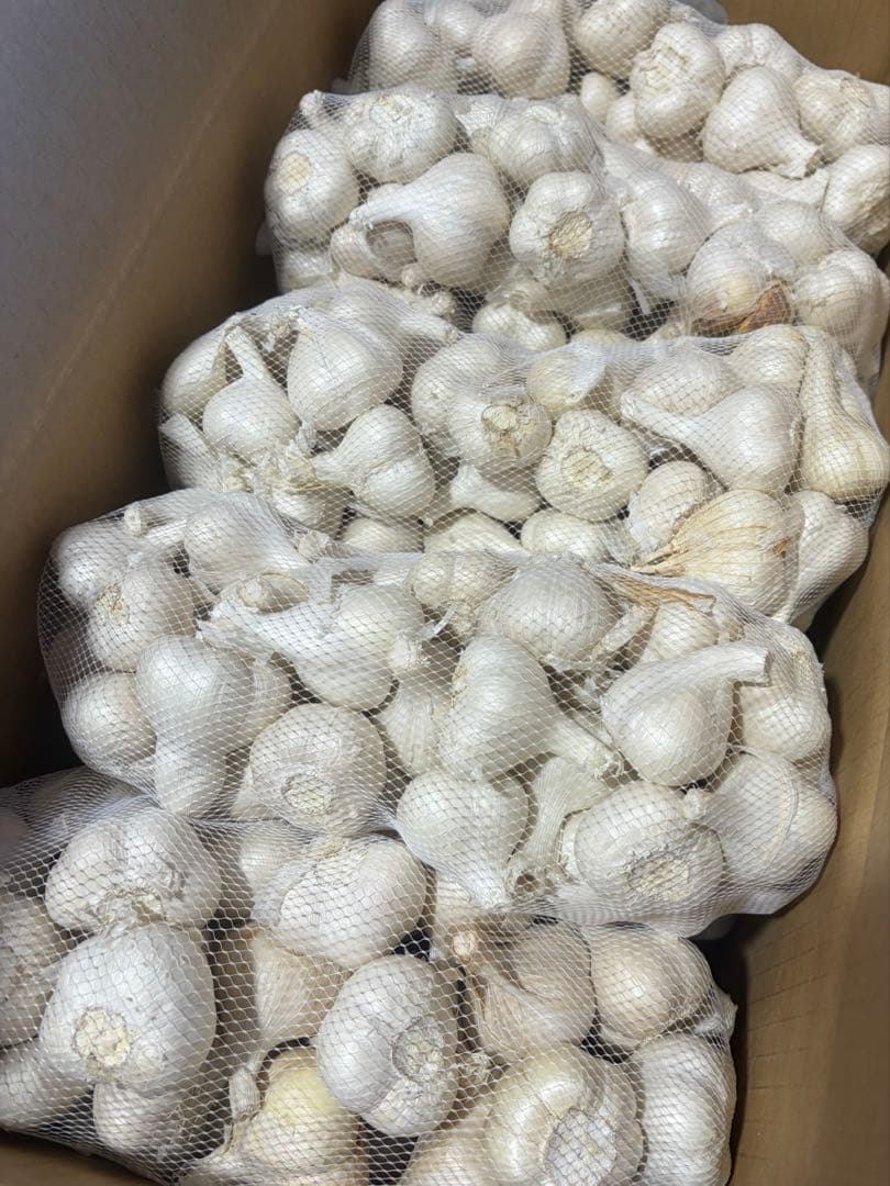 青森県産にんにく　Ｓ　１０ｋｇ