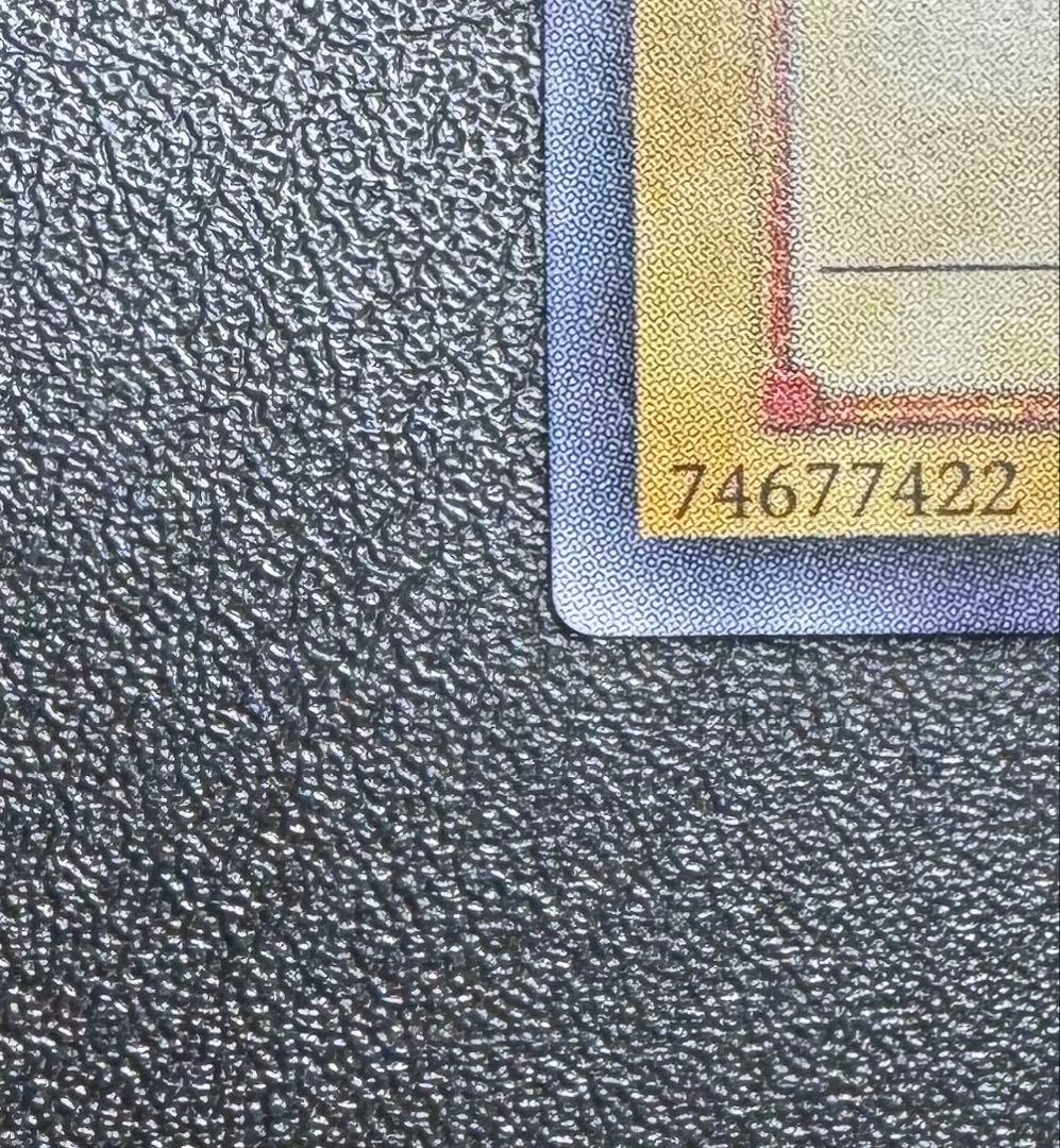 真紅眼の黒竜/レッドアイズブラックドラゴン/ ドラゴン族/遊戯王カード/レリーフ