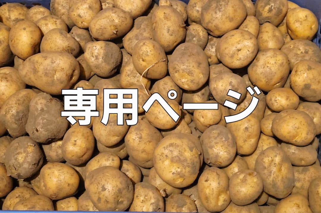 南国の山ちゃんページ　ながさき黄金　25kg