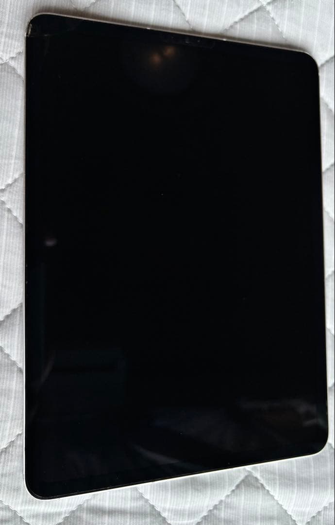 iPad Pro 11インチ wifi＋Cellular 256GB