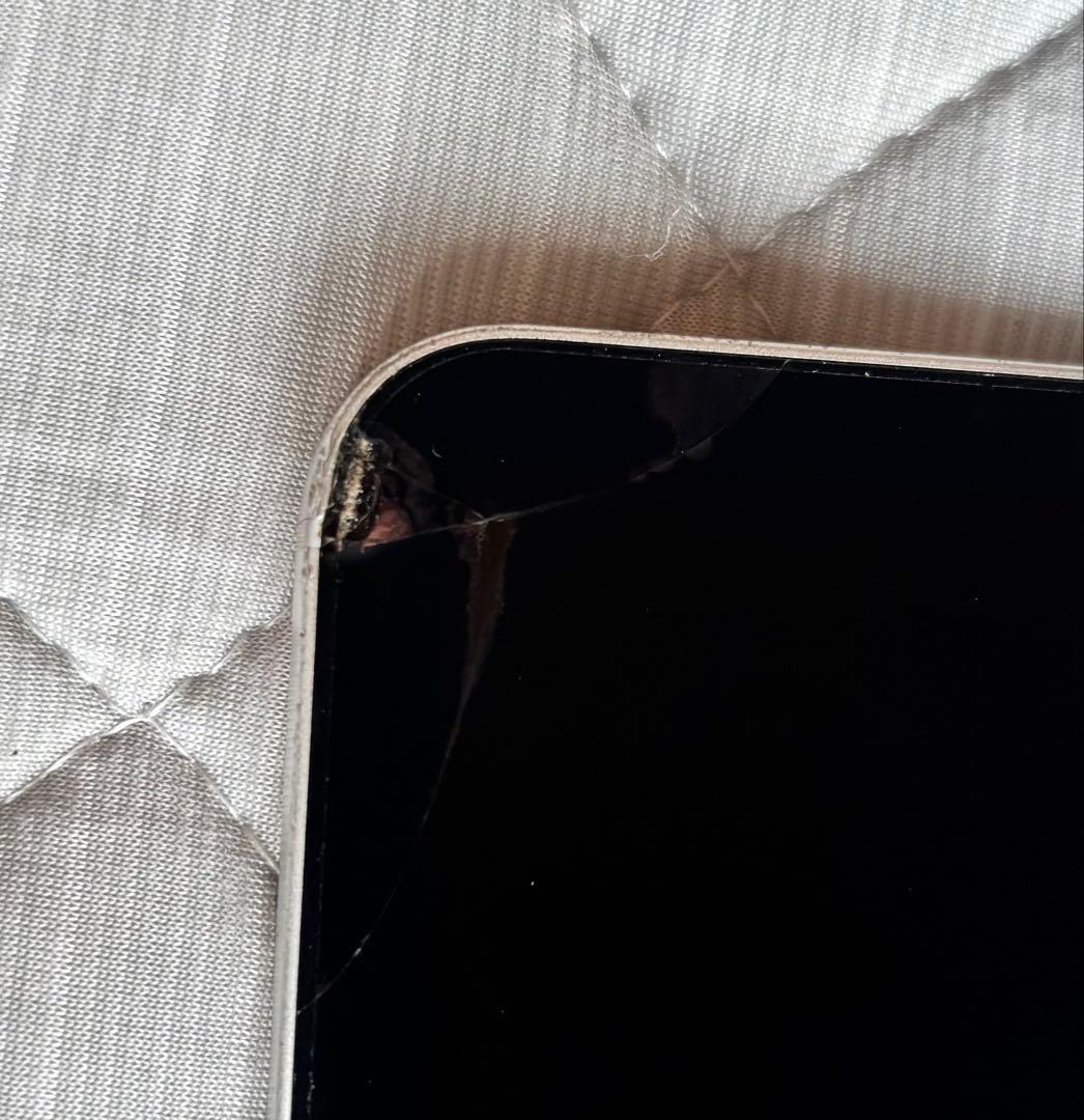 iPad Pro 11インチ wifi＋Cellular 256GB