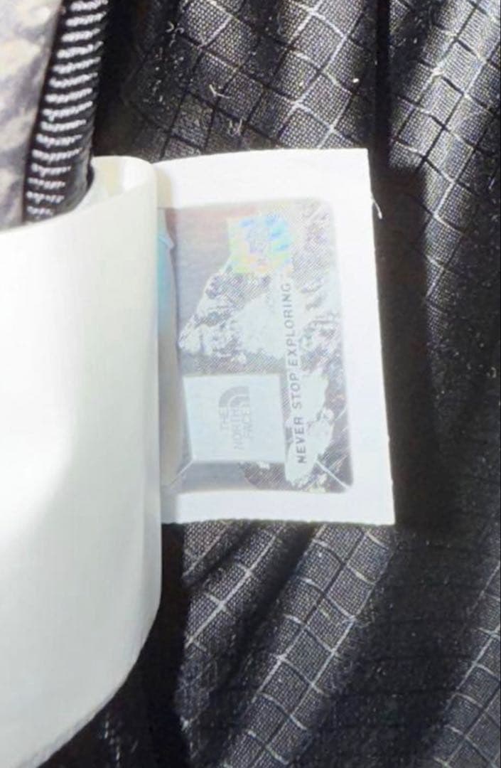 The North Face×Supreme ヘビ柄 リュック