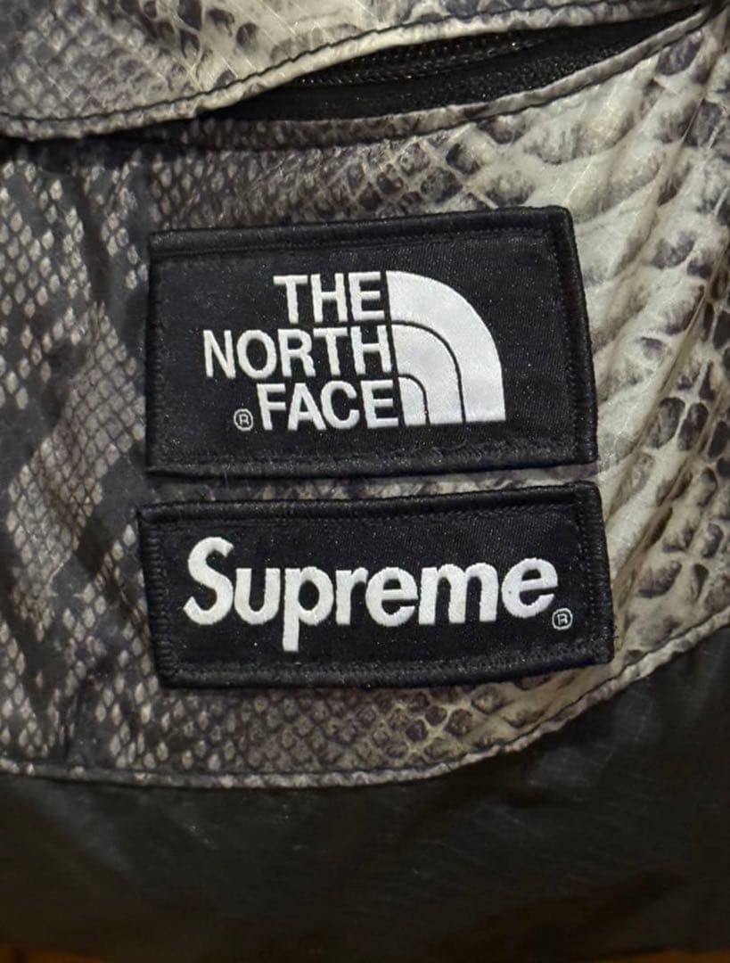 The North Face×Supreme ヘビ柄 リュック