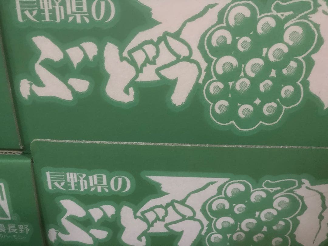 長野県産　シャインマスカット　約5kg