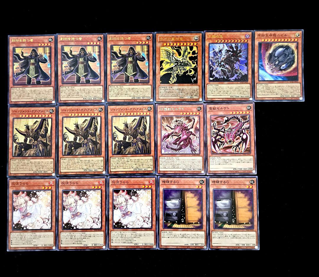 遊戯王 【本格構築‼️】王家の神殿 構築済みデッキ‼️ ラーの翼神竜 アポピス