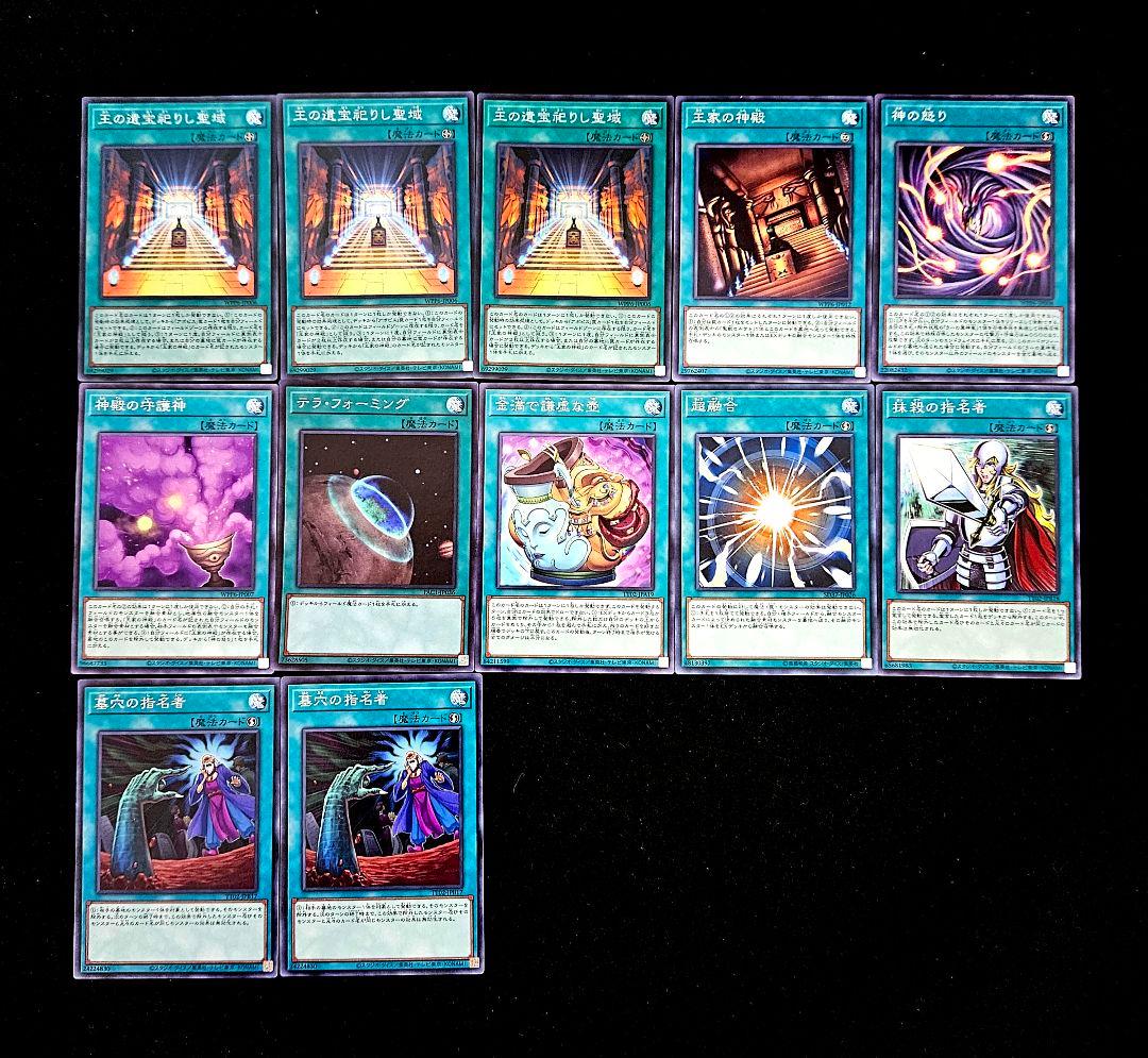 遊戯王 【本格構築‼️】王家の神殿 構築済みデッキ‼️ ラーの翼神竜 アポピス