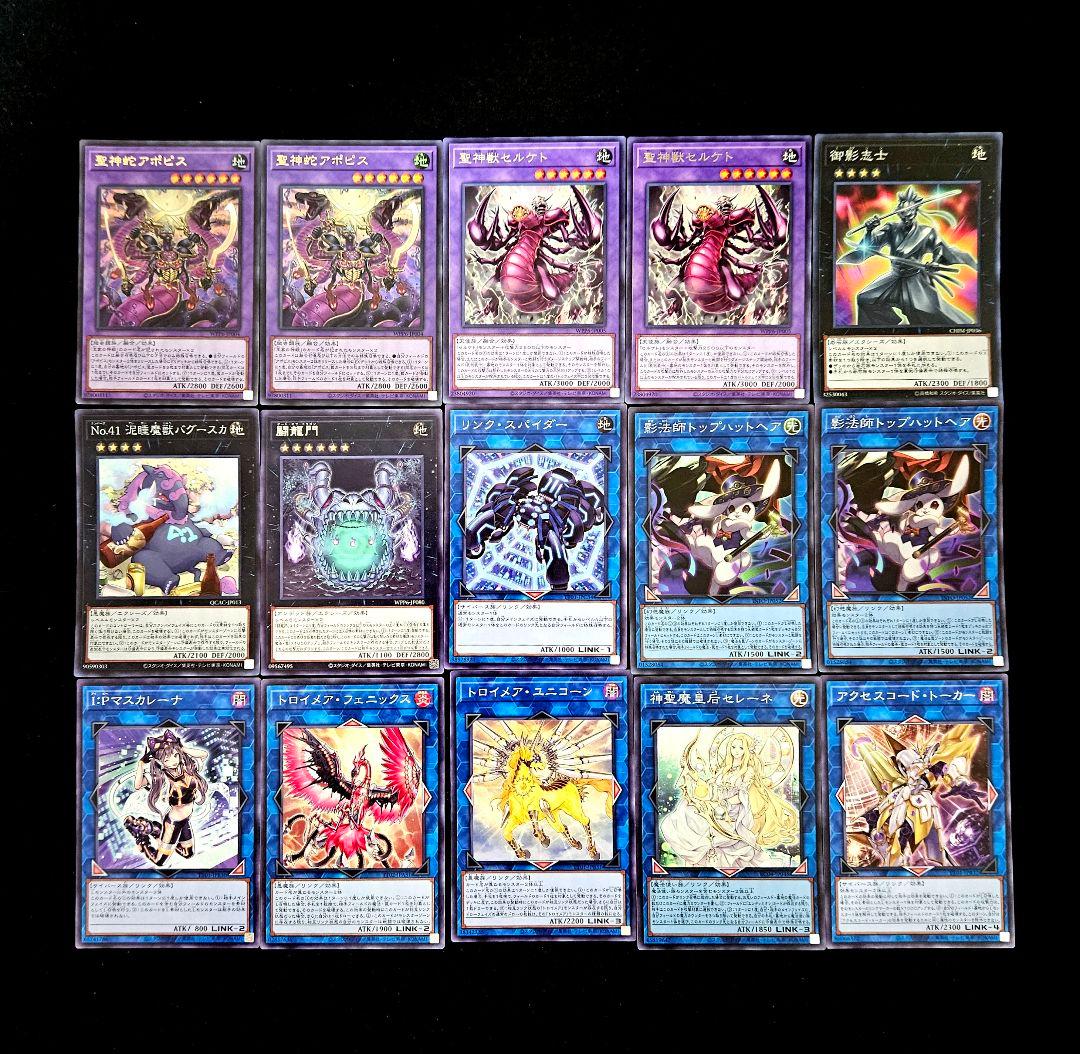 遊戯王 【本格構築‼️】王家の神殿 構築済みデッキ‼️ ラーの翼神竜 アポピス