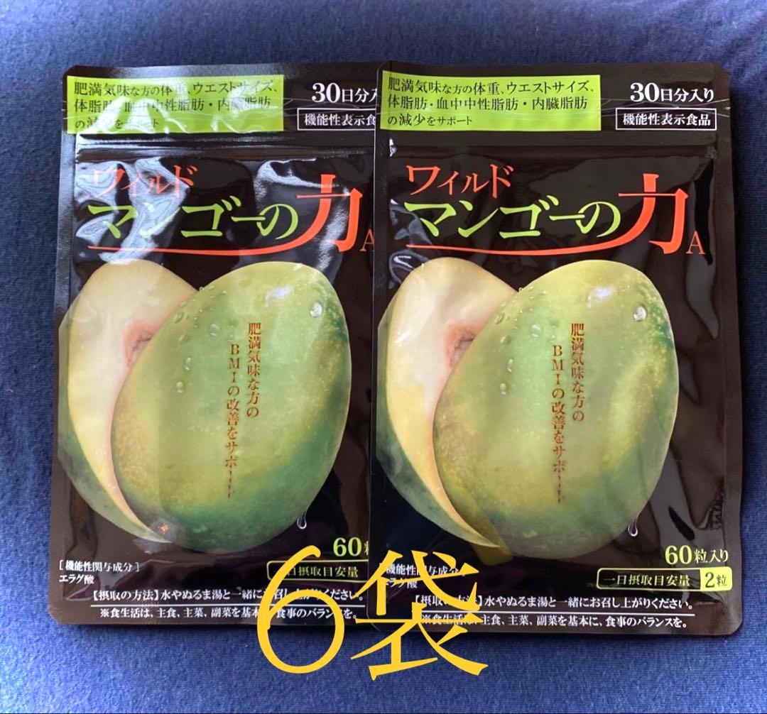 値下げ中！早い者勝ち♡新品未開封　亀山堂 ワイルドマンゴーの力60粒入り6袋