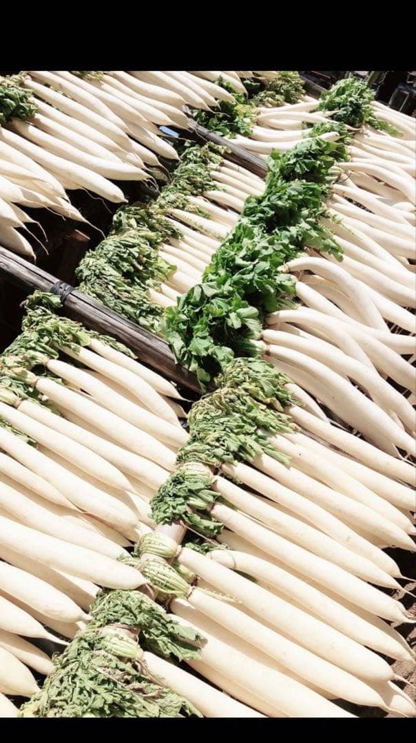 私*ん様 干し大根　14キロ