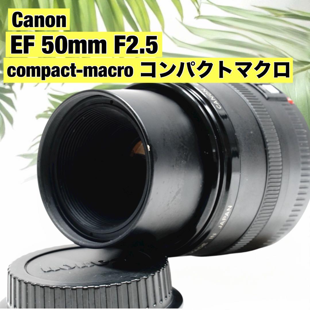 単焦点レンズ❤️Canon EF 50mm F2.5 コンパクトマクロ