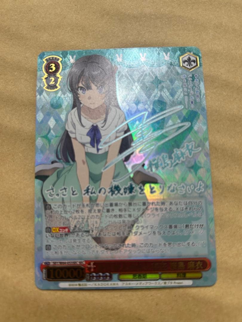 かけがえのない存在 桜島麻衣