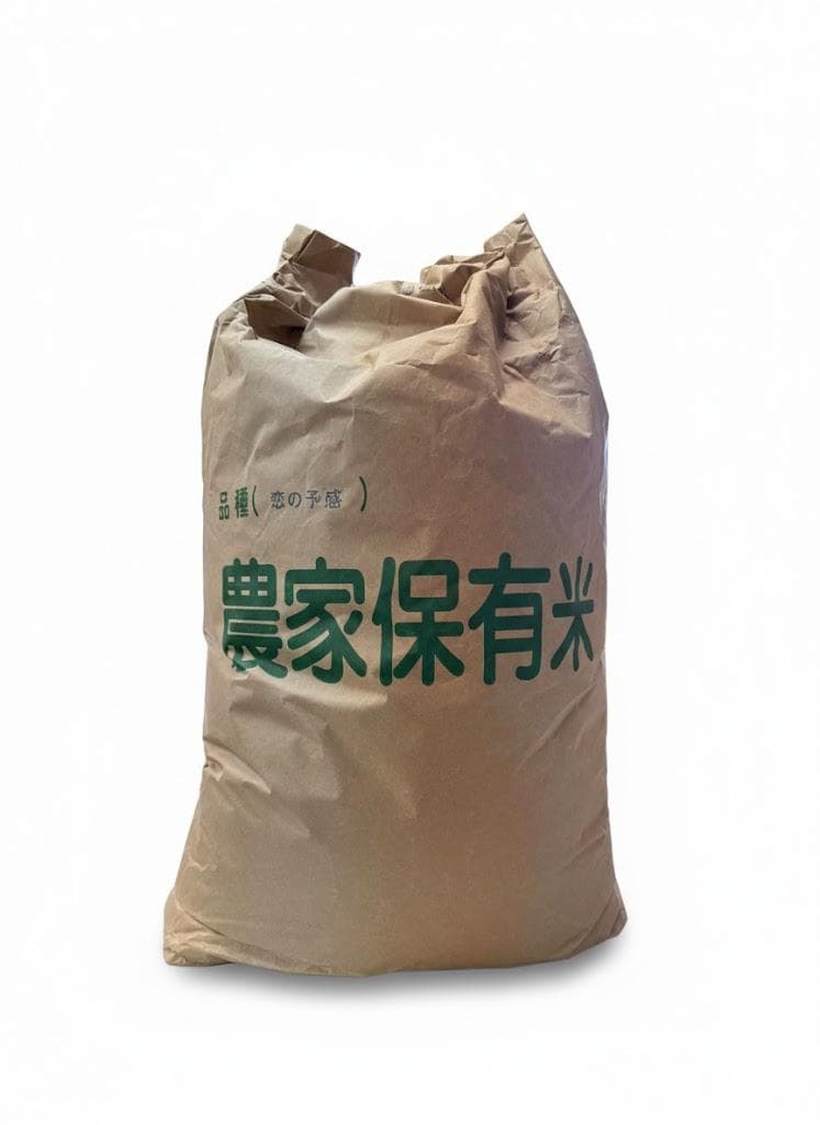 令和7年度産　山口県産（新米）10kg恋の予感　白米/玄米　農家直送　送料無料