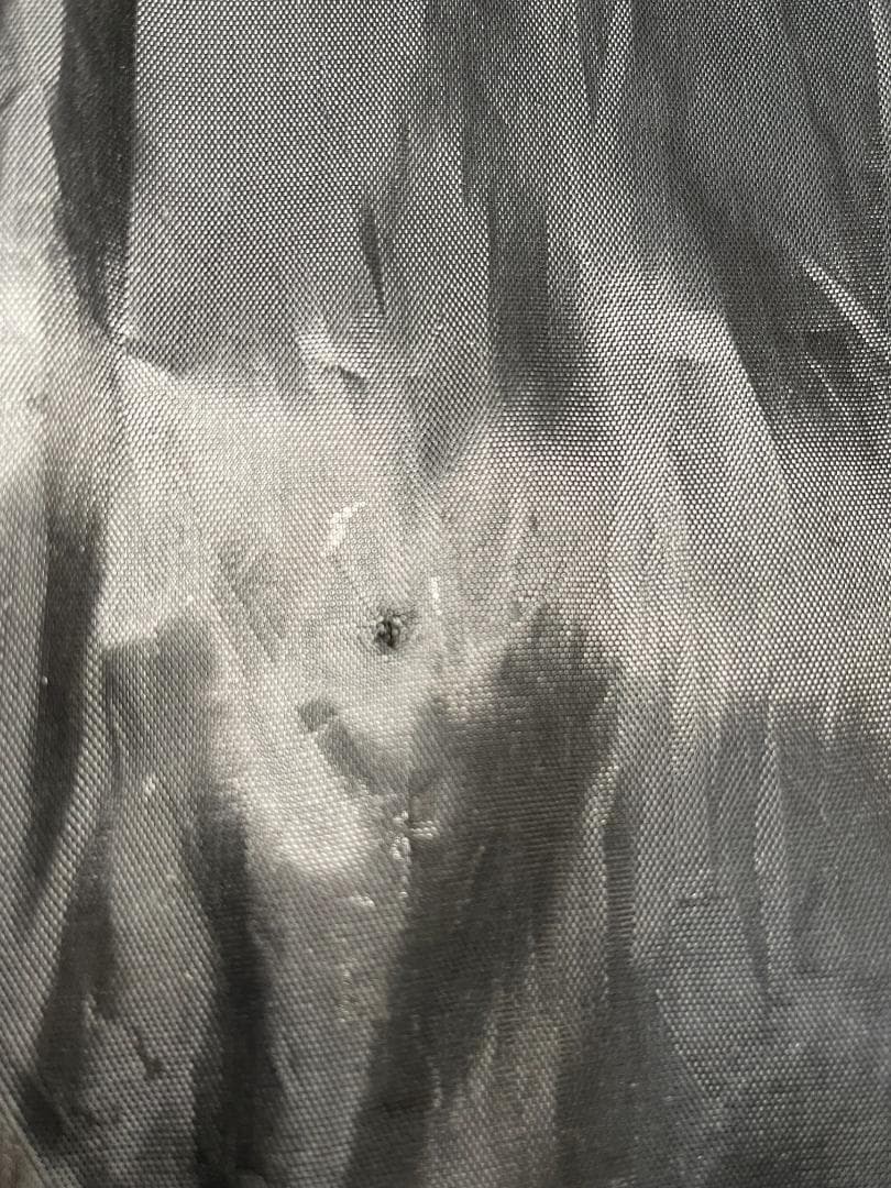 Sony ビデオカメラ FDR-AX45A