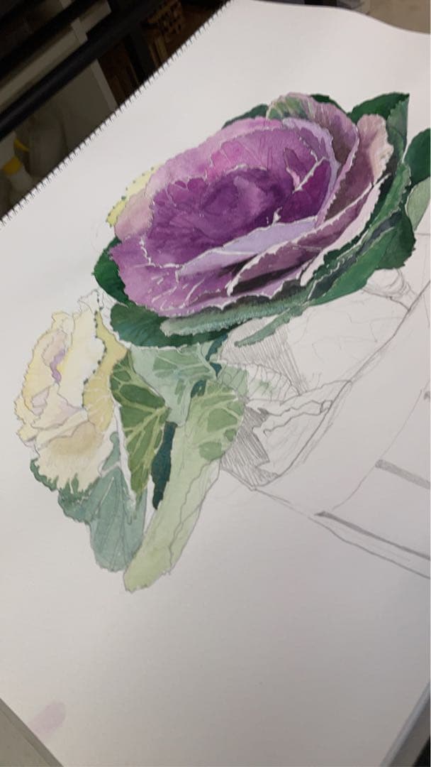 水彩画　葉牡丹　F6