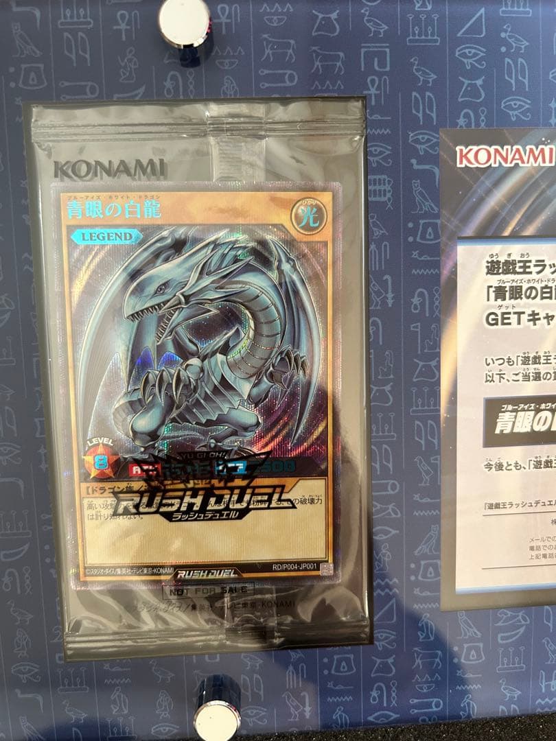 青眼の白龍　ブルーアイズ・ホワイト・ドラゴン SPECIAL BLUE Ver.