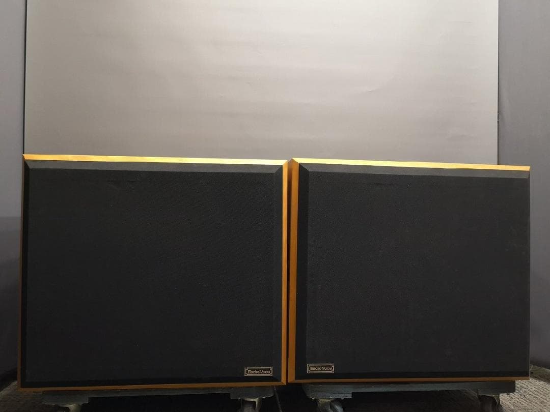 ◆大感謝祭 ElectroVoice SENTRY 500SFV m0s8766