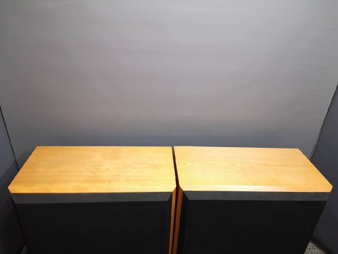 ◆大感謝祭 ElectroVoice SENTRY 500SFV m0s8766