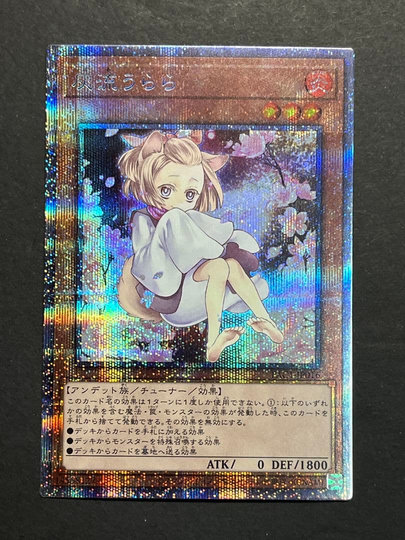 遊戯王　灰流うらら　プリズマティックシークレット　絵違い