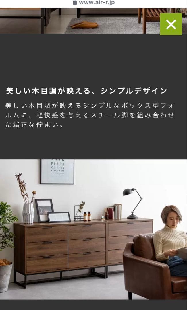 Air Rhizome Interior NORFOLK CHEST チェスト