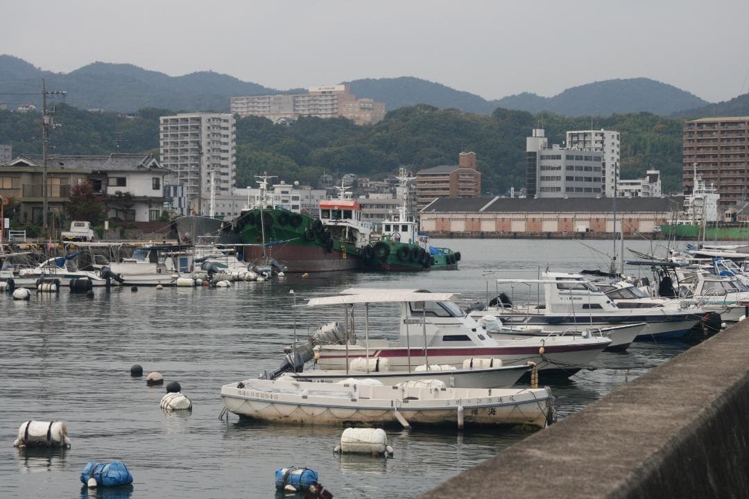 キャノン　EOS KissデジタルX、キヤノンズームレンズ35-105ｍｍ