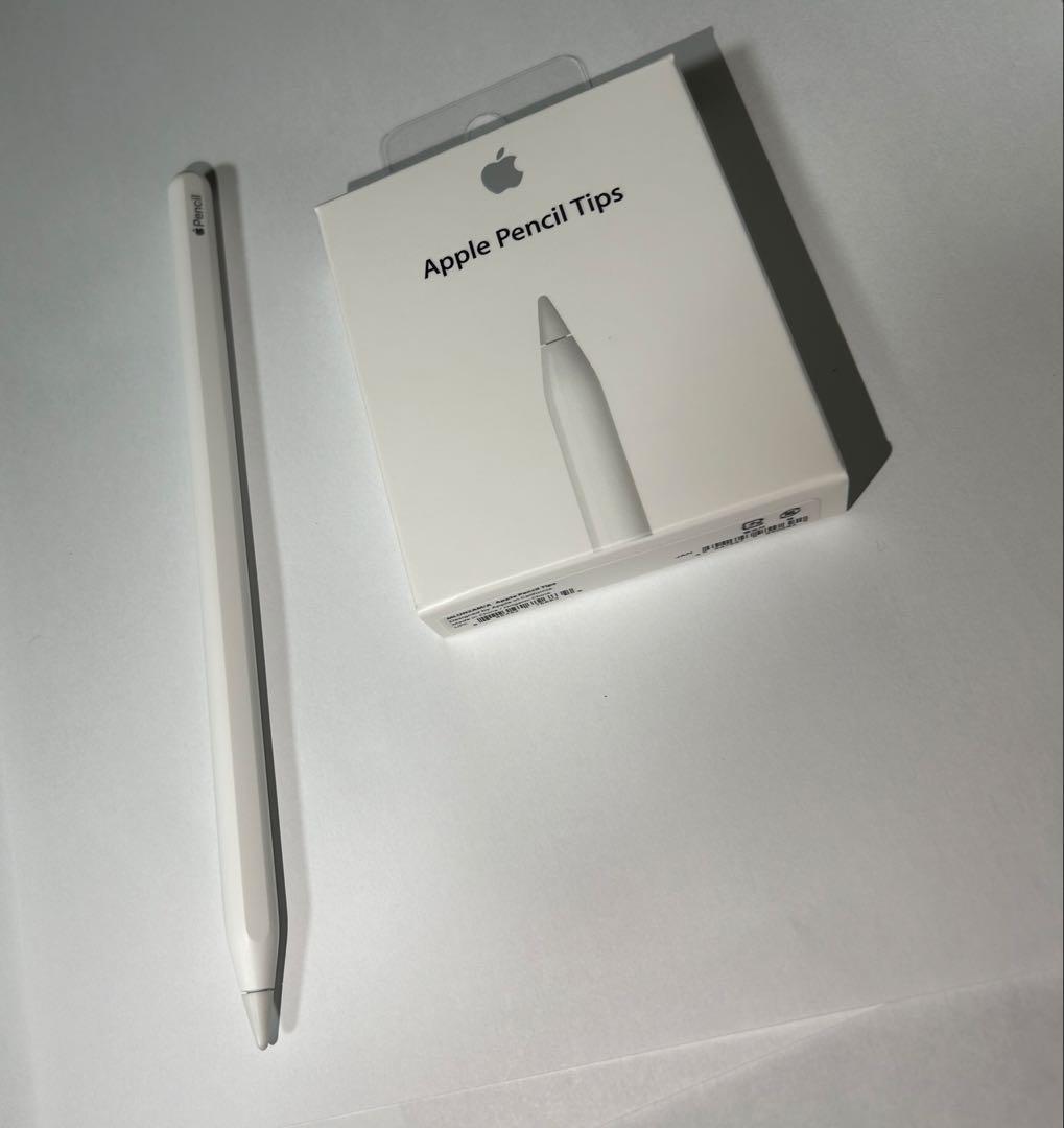 iPad Pro 第4世代 11インチ 256GB Apple Pencilつき