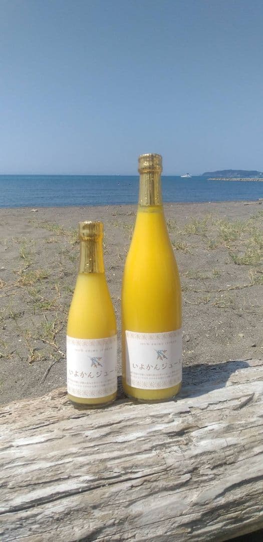 伊予柑ジュース　720nl✕６本セット