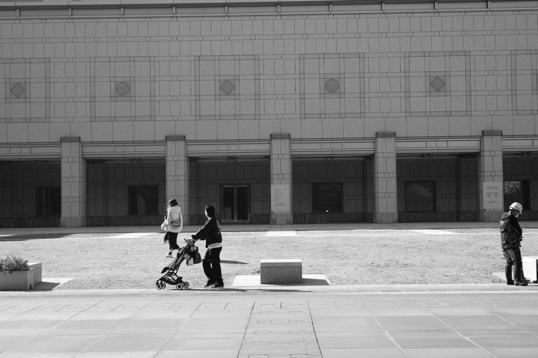 Leica 固定　ズミクロン　50mm F2