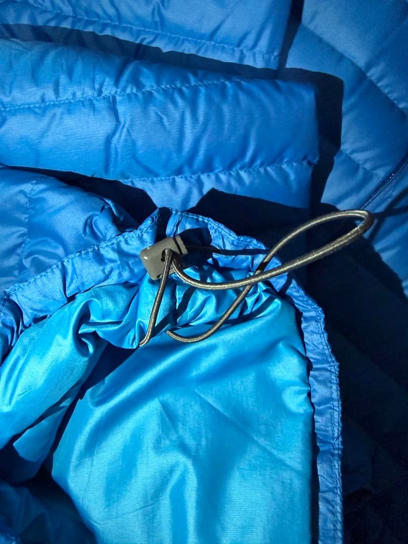 2012年製　patagonia ダウンセーター　Lサイズ