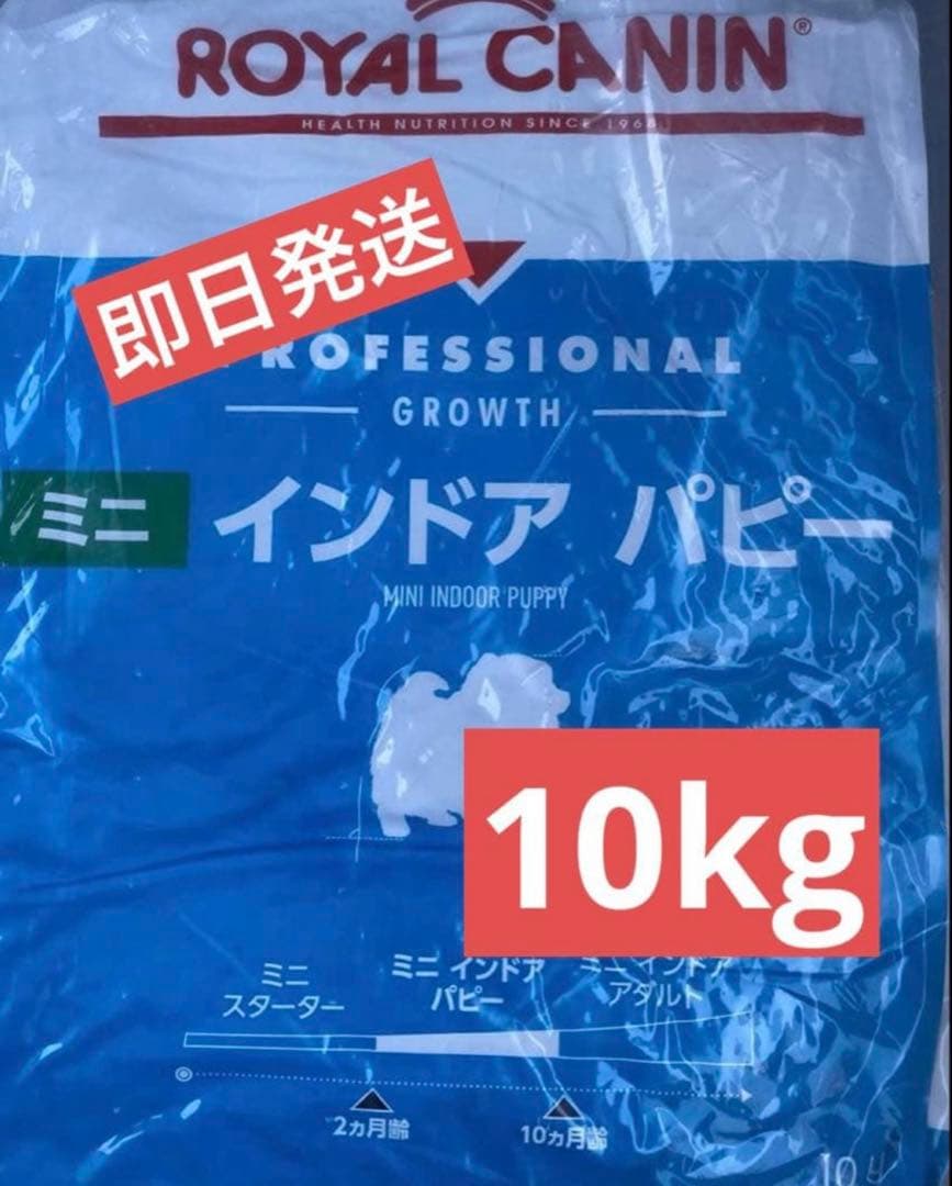  CANIN ミニインドアパピー 10kg