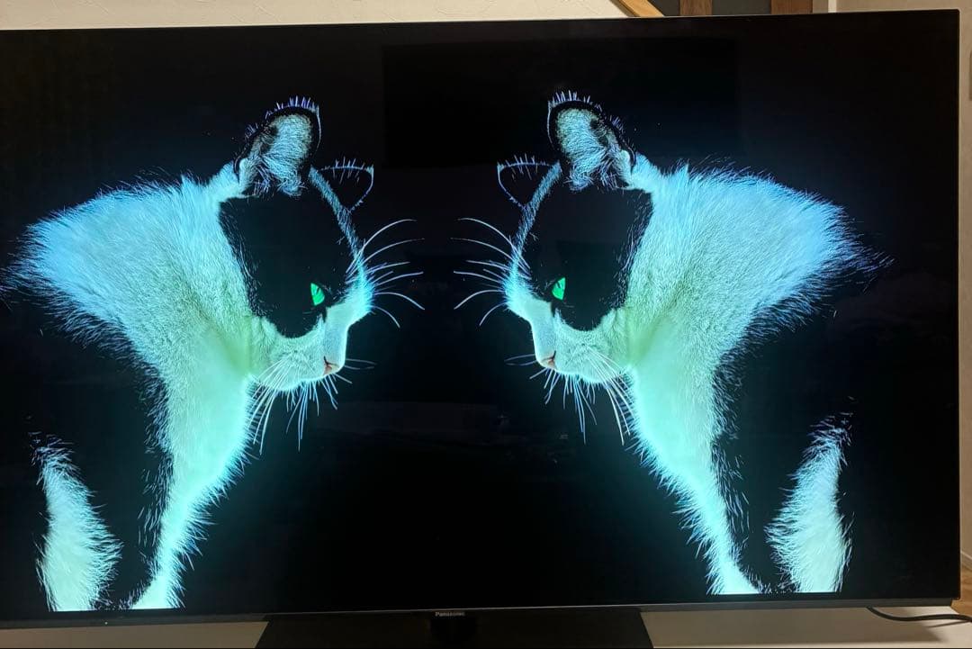 Viera TH-55FZ950 有機elテレビ　パナソニック　55インチ