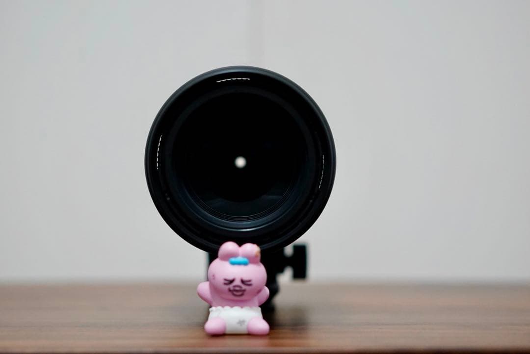 レンズ(ズーム) SIGMA 100-400mm F5-6.3 DG DN OS