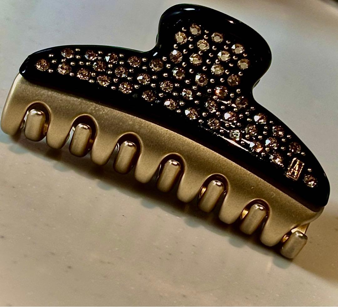 ALEXANDRE DE PARIS  クリップM