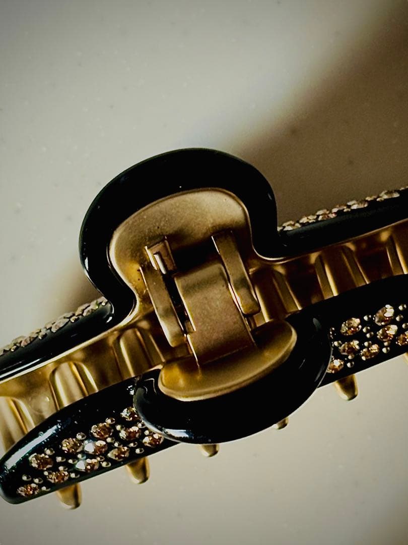 ALEXANDRE DE PARIS  クリップM