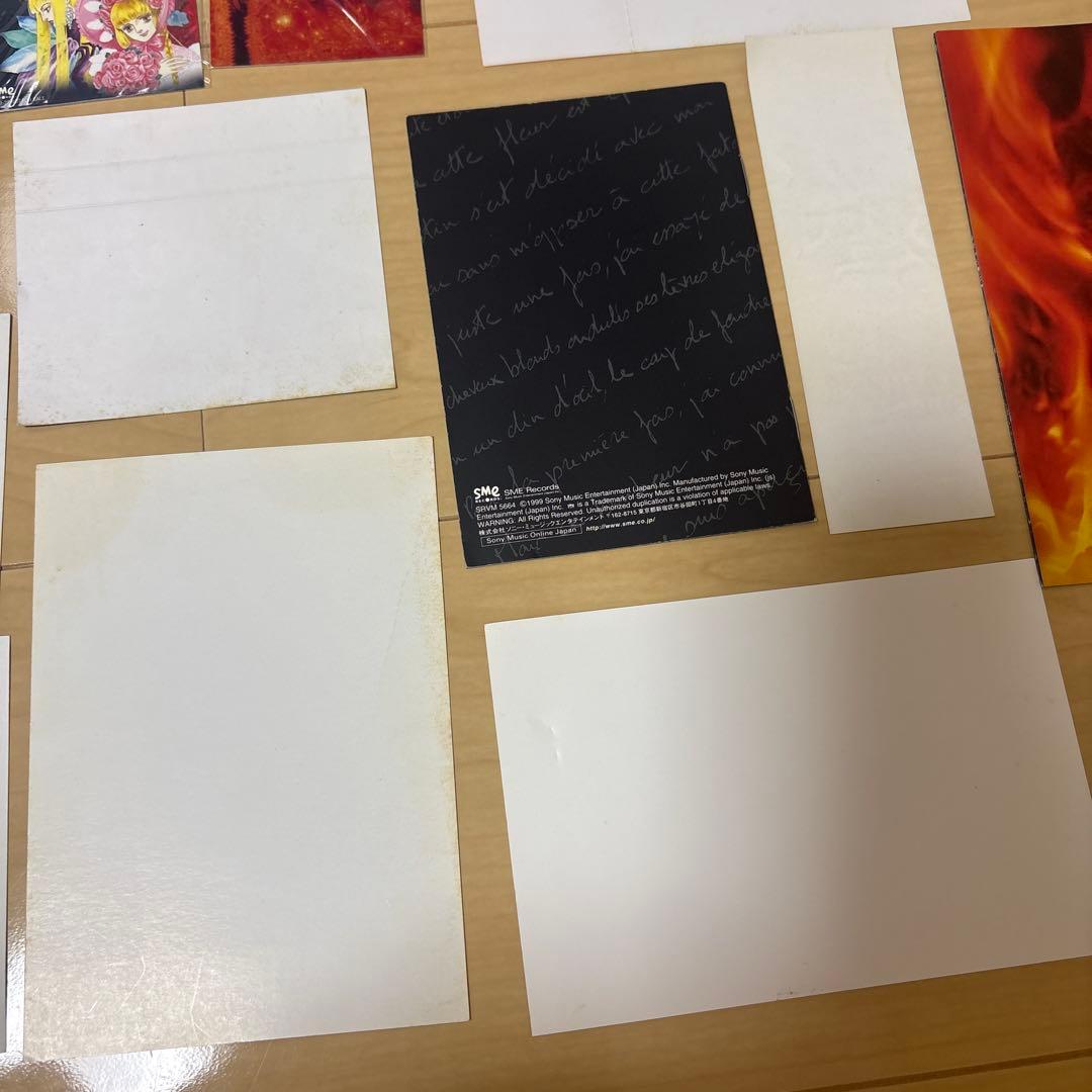 KAMIJO LAREINE 希少