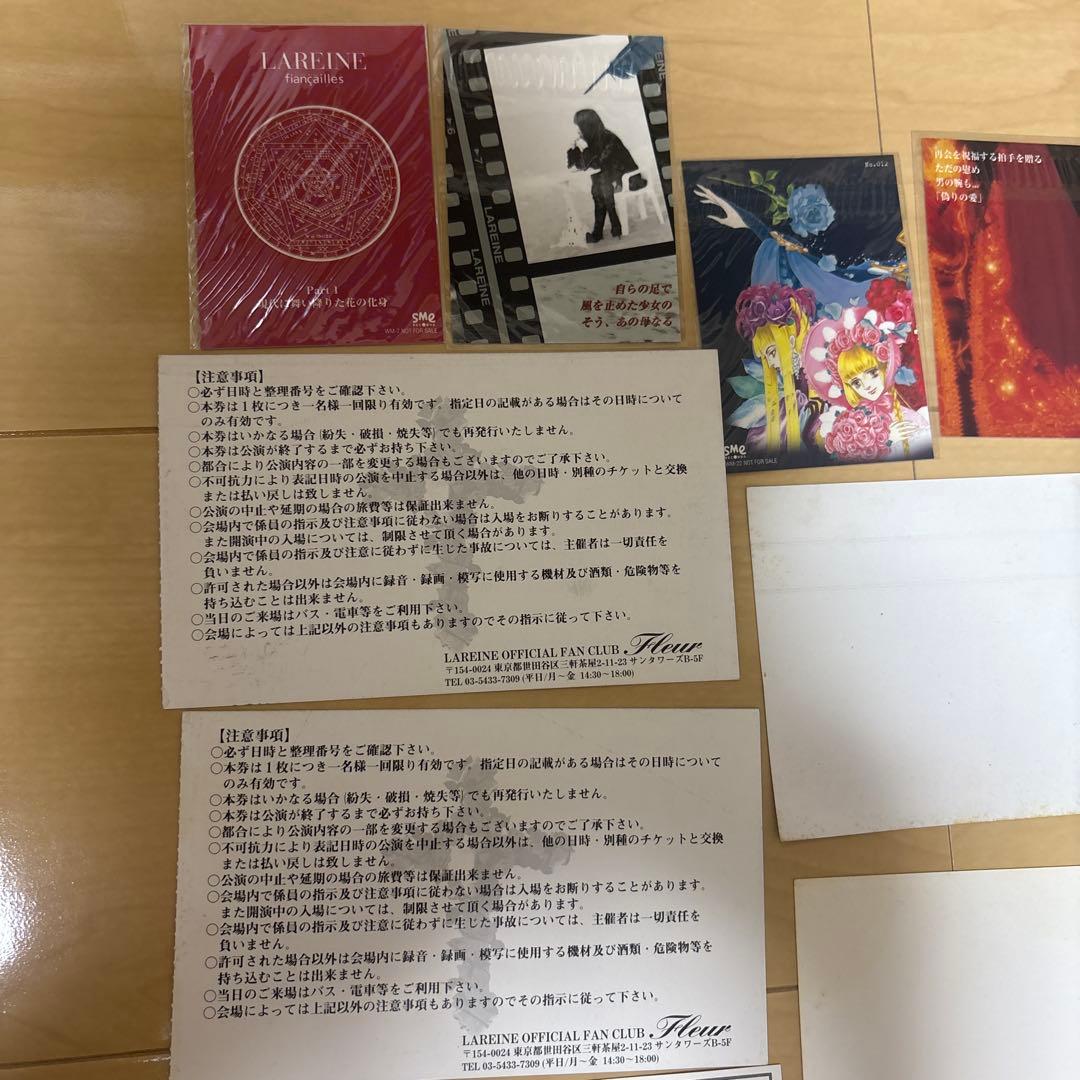 KAMIJO LAREINE 希少