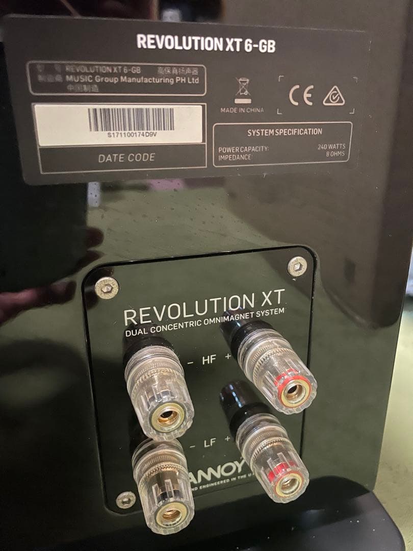 1/15までの最安値　TANNOY REVOLUTION XT6 ⭐︎状態良好⭐︎