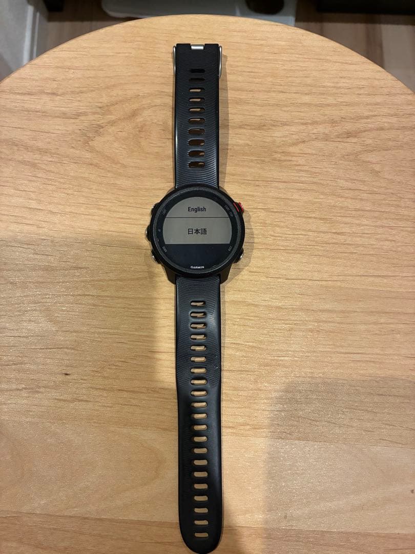 【さはら】GARMIN Foreathlete245music