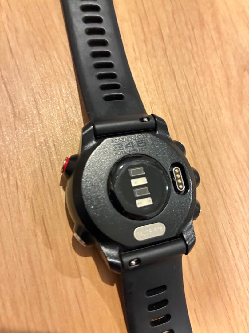 【さはら】GARMIN Foreathlete245music