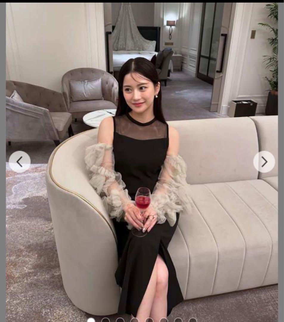 ANDRESD オケージョンドレス　袖チュール取り外し可能